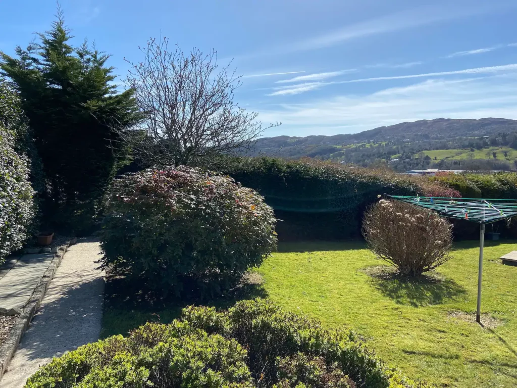 Back garden Back garden