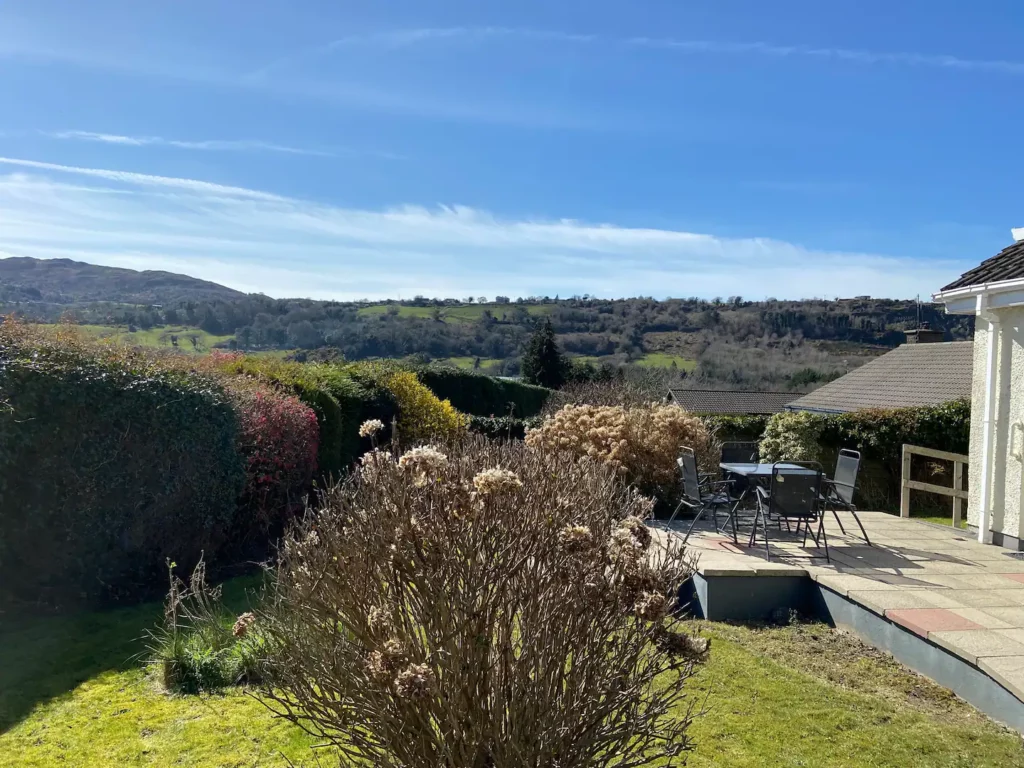 Back garden Back garden